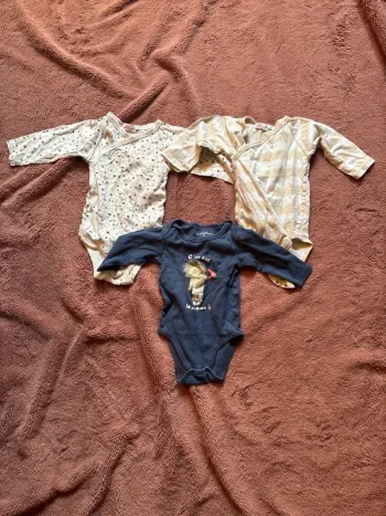 Lot bodies