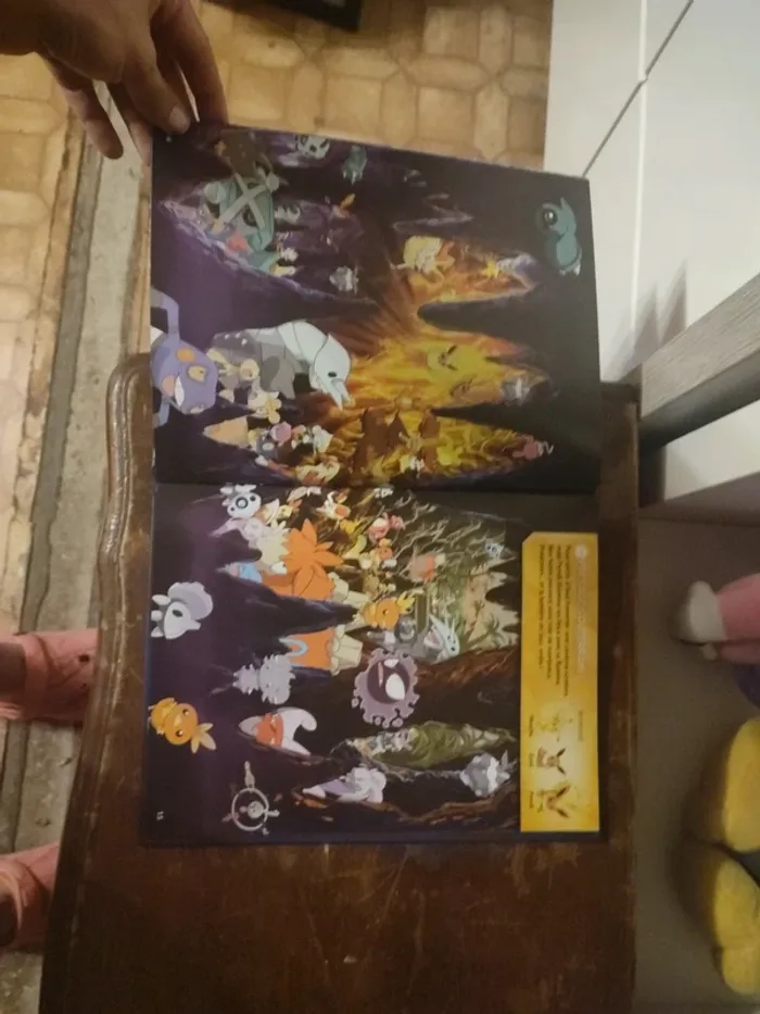 Livre cherche et trouve pokémon - photo numéro 3