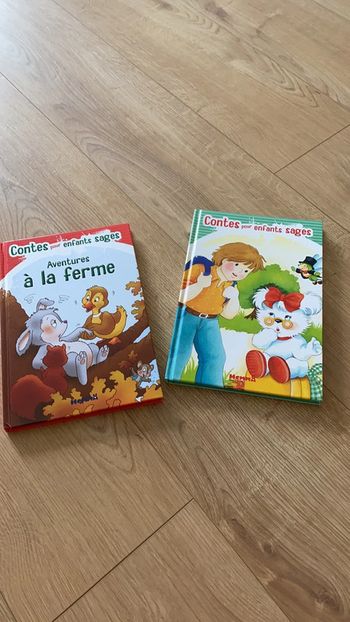 Deux superbes livres contes pour enfants sages neufs