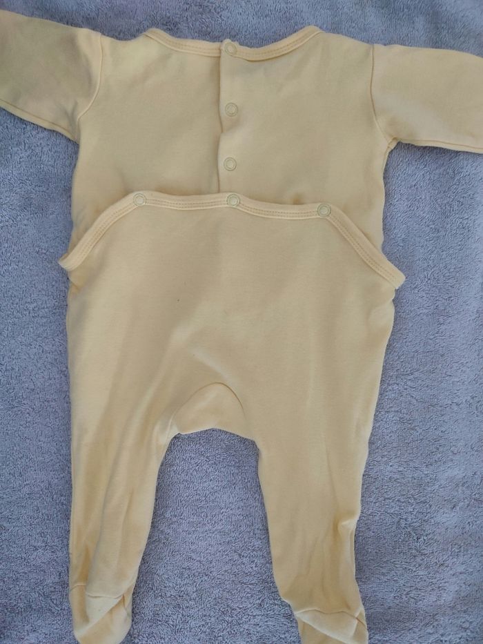 Grenouillere - photo numéro 3