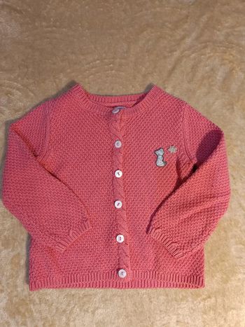 Gilet rose renard blanc 🦊