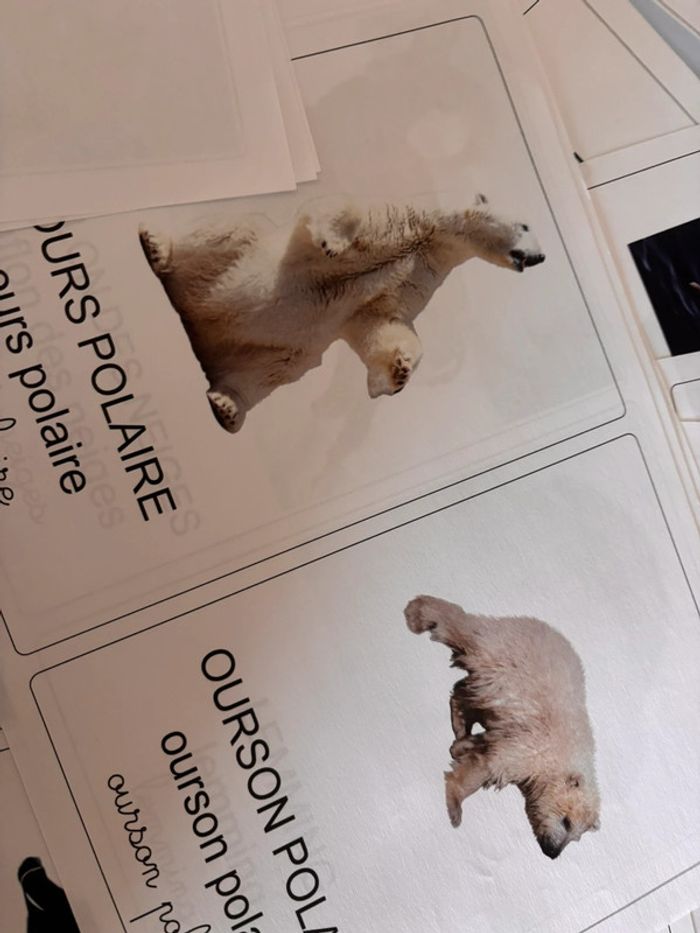 Lot cartes de nomenclature hiver/polaire - photo numéro 2