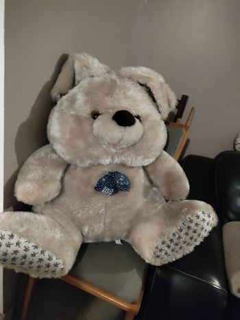 Ours en peluche