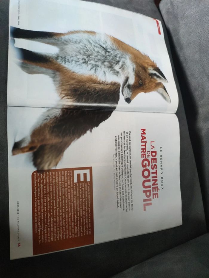 Magazine 30 millions d'amis numéro 382 mars 2020 - photo numéro 11