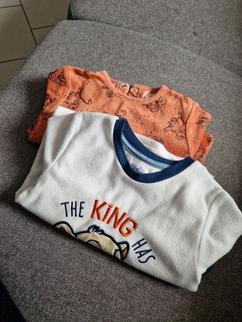 Pyjamas chaud le roi lion