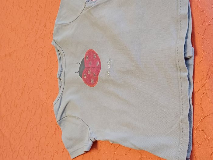 10 tee shirts et 2 shorts - photo numéro 8