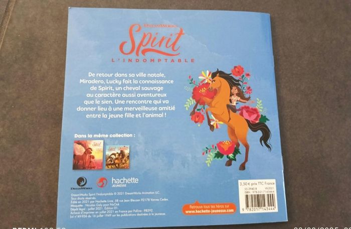 Spirit l'indomptable - photo numéro 4