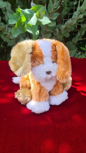peluche doudou petit chien qui lève l oreille  a collier blanc et marron
