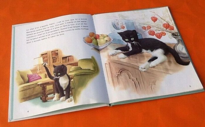 Martine Englebert / Jean Benoist Le Chat d' ici et le chat d' ailleurs (1986) - photo numéro 2