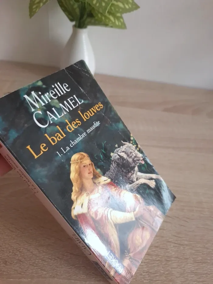 Livre / Le bal des louves tome 1 - photo numéro 5
