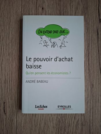 Le pouvoir d achat baisse - André Babeau