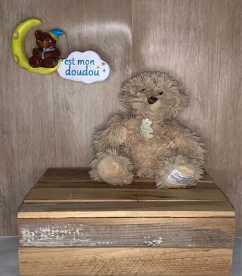 HD111 doudou ours 🐻 histoire d’ours