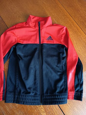 Veste adidas 