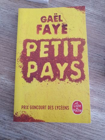 Livre petit pays