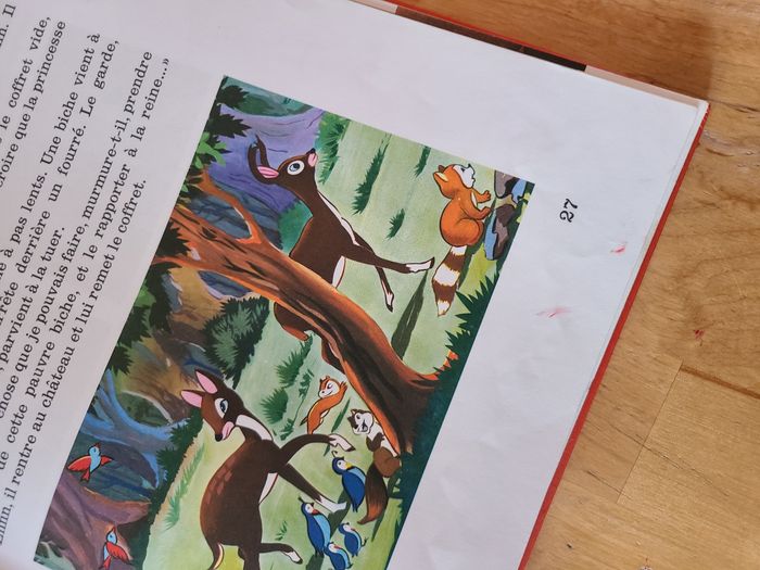 Blanche neige et les 7 nains - photo numéro 8