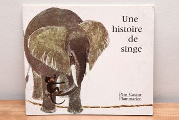 Une histoire de singe