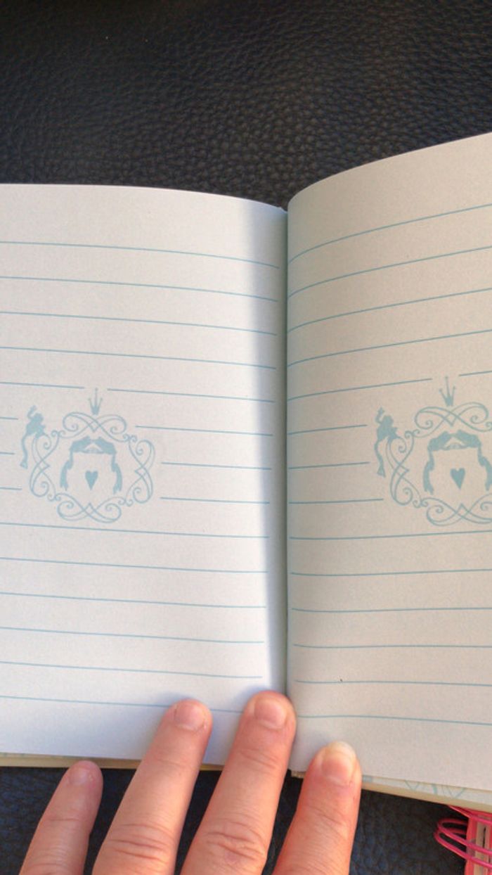 Disney neuf carnet la princesse et la grenouille + carnet ballerine - photo numéro 4
