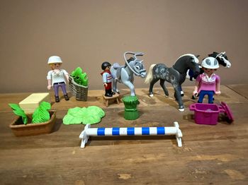 Lot playmobil chevaux et cavaliers 
