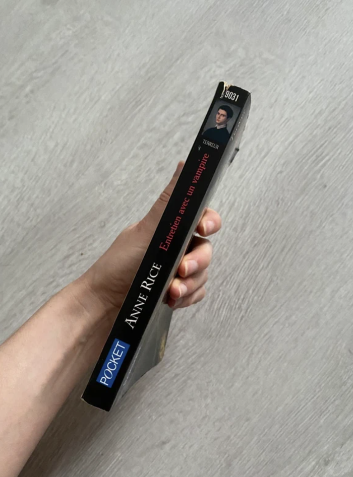 Livre Entretien avec un vampire Anne Rice - photo numéro 3