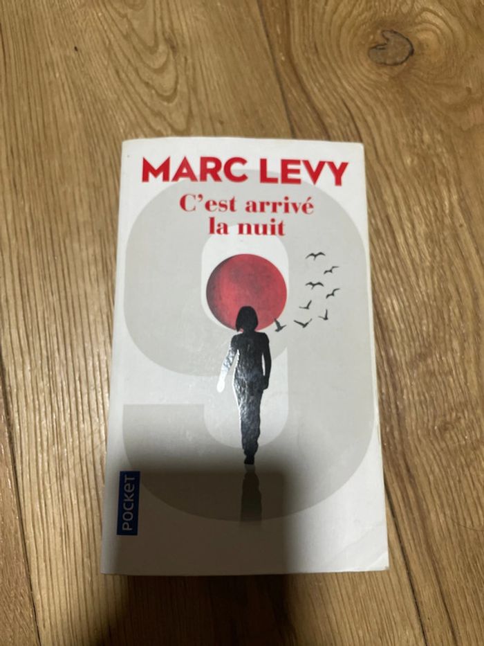 C’est arrivé la nuit Marc Lévy