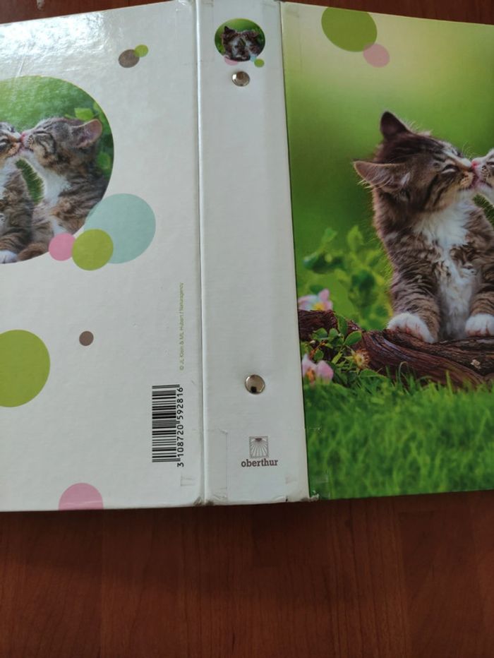 Petit classeur chatons - photo numéro 5