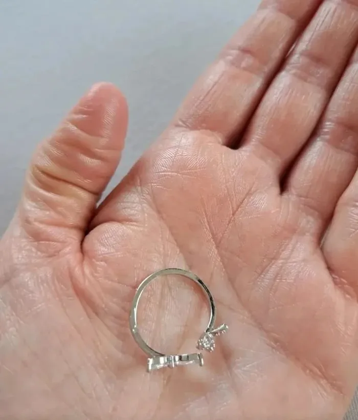 Bague réglable, 2 papillons, couleur argentée - photo numéro 3