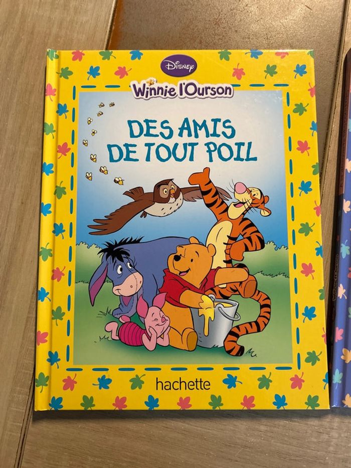 Livres Disney Winnie l’Ourson - photo numéro 5