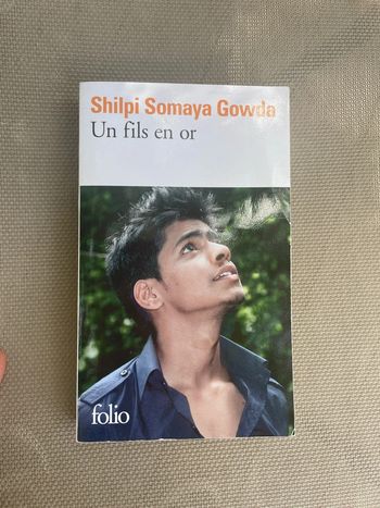 Livre Shilpi Somaya Gowda Un fils en or
