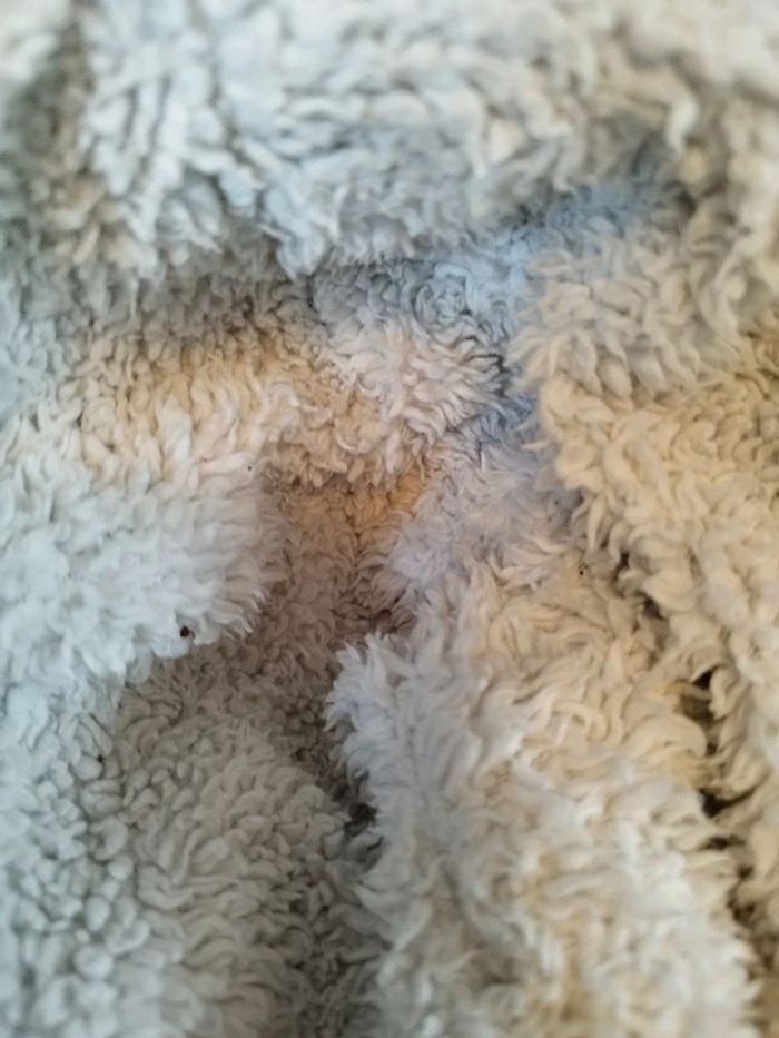 🌀 Blouson polaire 2 ans Gémo - photo numéro 5