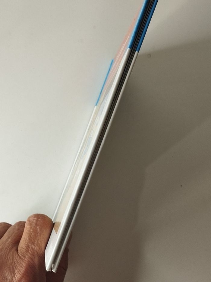 Livre le grand Schtrooumpf devient vert - photo numéro 4