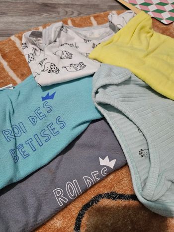 Bodies