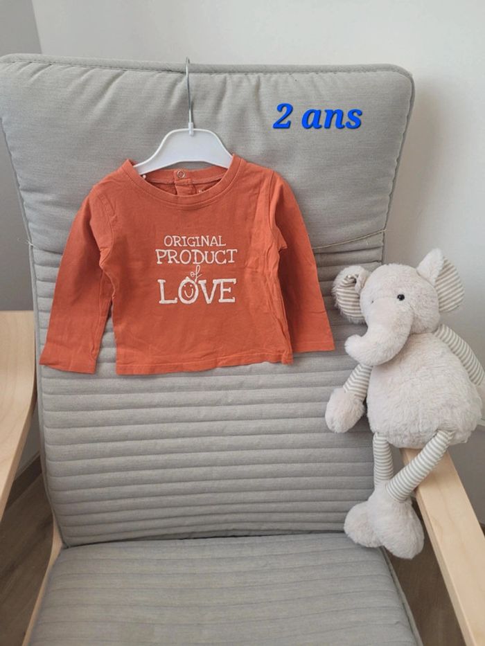 Tee shirt manches longues 23 mois