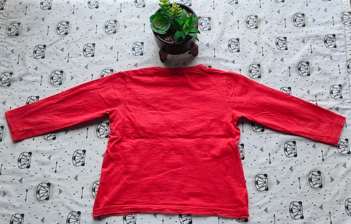 Lot de tee-shirt ML taille 23 mois/2 ans - photo numéro 4