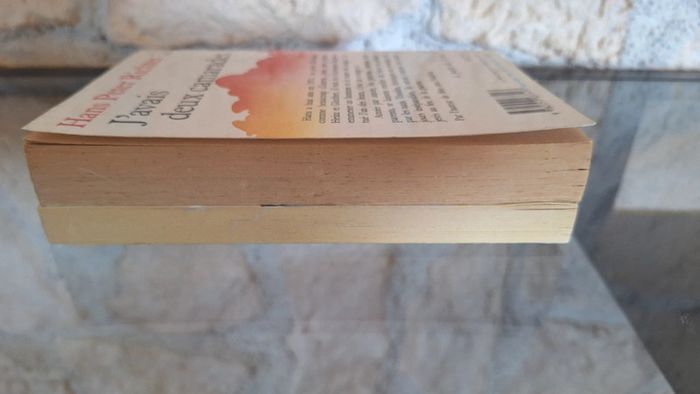 Lot de livres enfants L histoire de geromino et j avais deux camarades - photo numéro 3