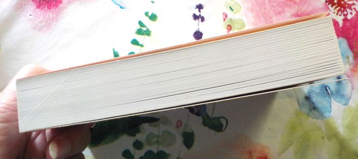 UNE ENQUETE DE MARY LESTER N°27 CA IRA MIEUX DEMAIN de Jean FAILLER - photo numéro 5