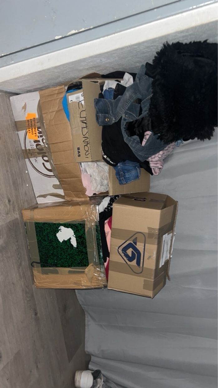 Cardon de vêtement à vendre - photo numéro 2