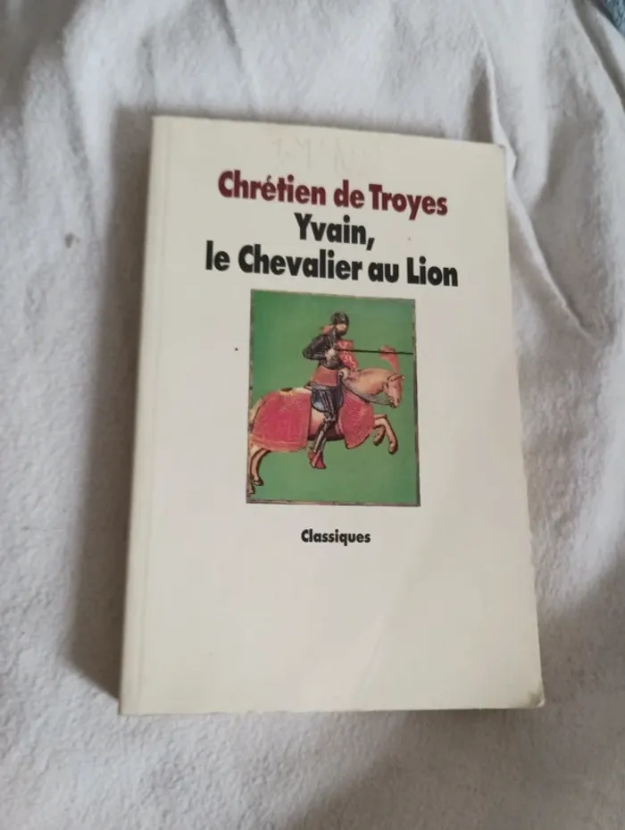 Livre " Yvain, le chevalier au lion"