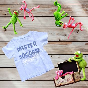 T-shirt été pour bébé garçon taille 6 mois