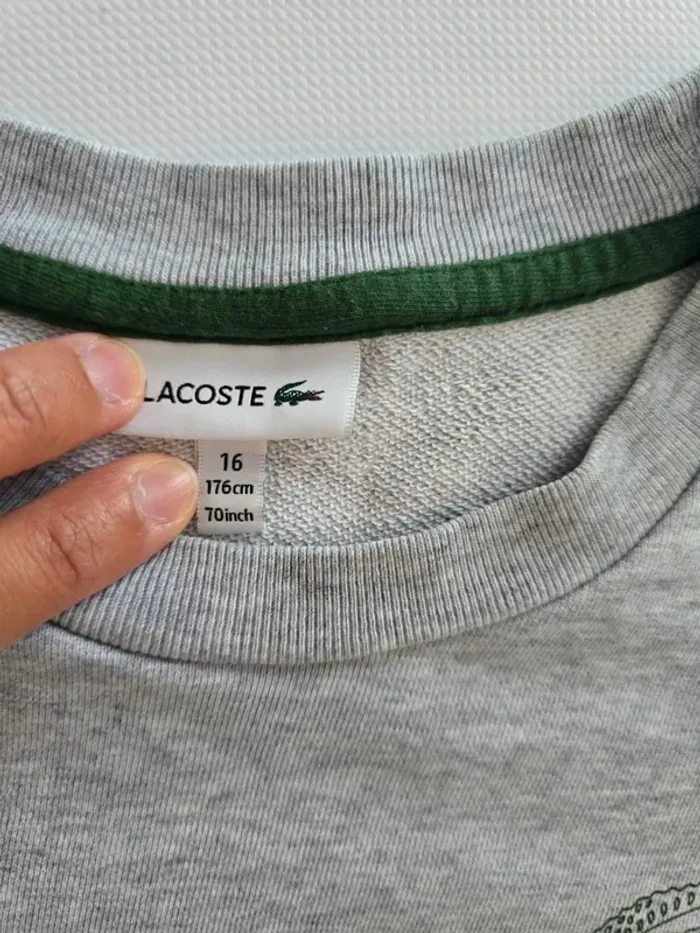Sweat lacoste - photo numéro 3