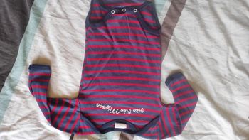 Bodie Absorba très très mignon