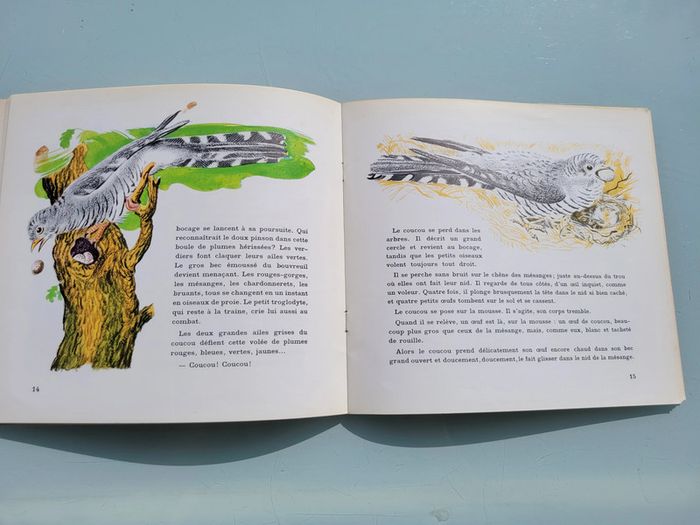Album du Père Castor, livre ancien, Coucou éditions flammarion, 1947 - photo numéro 4