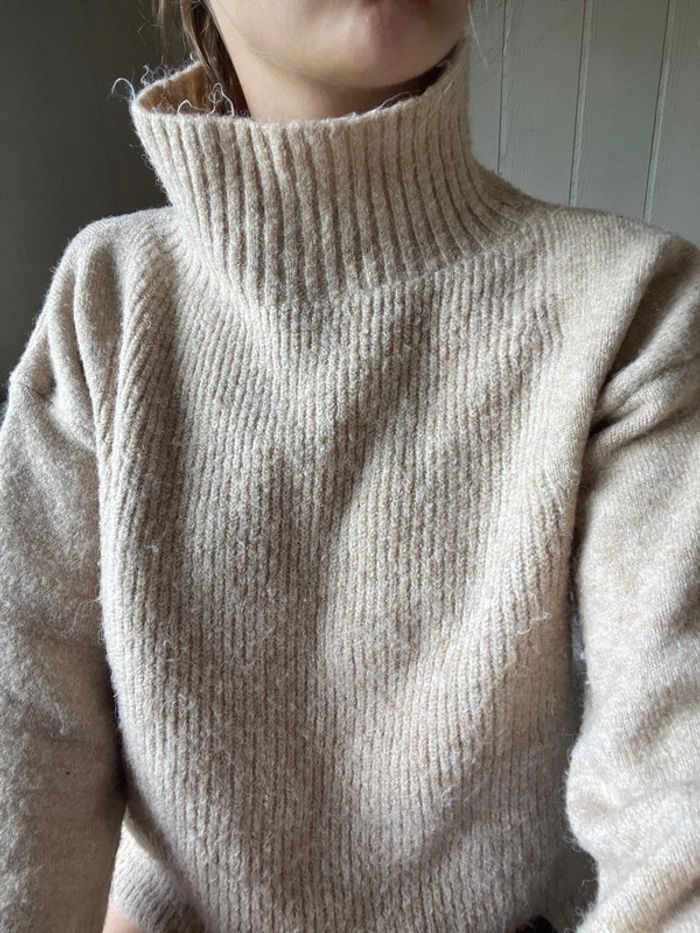 Pull à col roulé Gemo - photo numéro 2