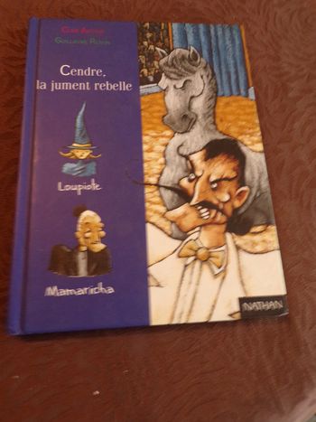 Livre Cendre la jument rebelle   Nathan