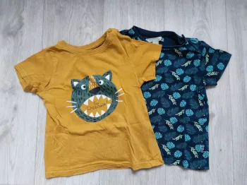 Lot 2 t-shirts très légers Gemo/Mes petits cailloux 36M