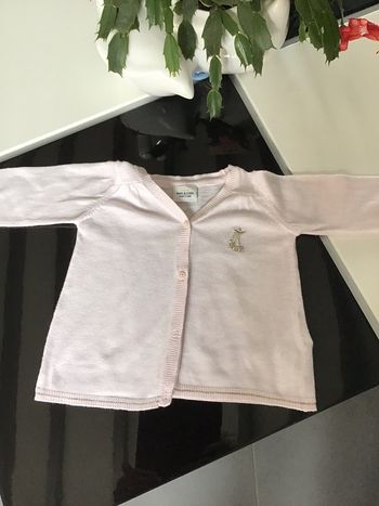 Gilet fin motif cerises dorées TAO