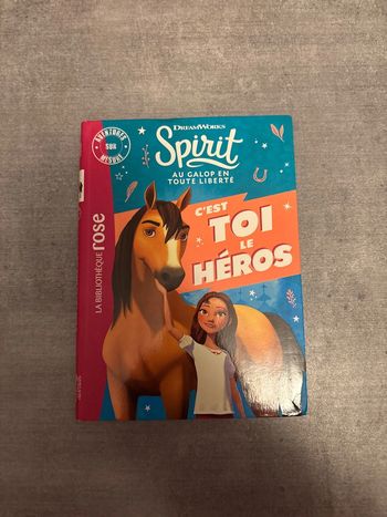 Livre la bibliothèque, Rose Spirit, c’est toi le héros