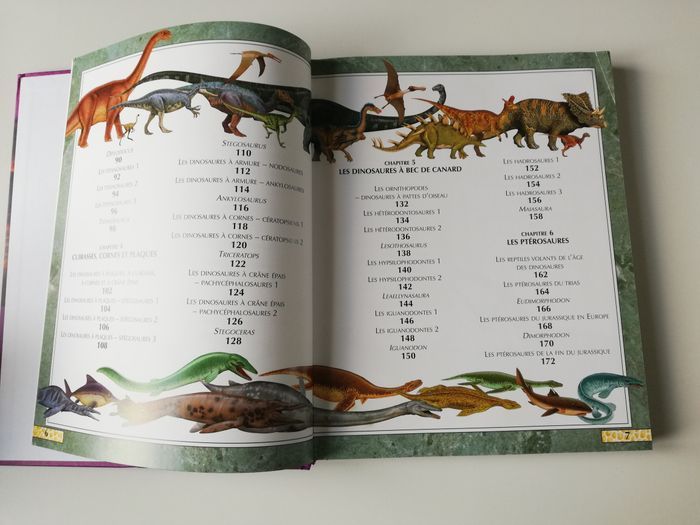 livre dinosaures - photo numéro 5