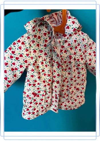 Magnifique manteau avec capuche 6 mois du pareil au même