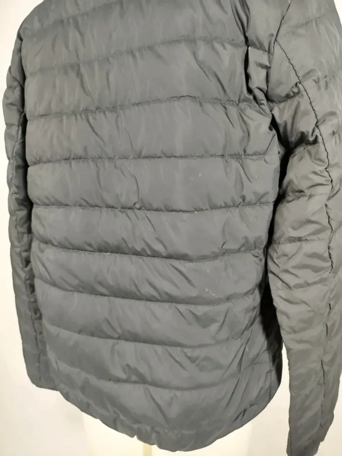 Veste matelassée - Doudoune fine homme - EA7 Emporio Armani A262 - photo numéro 6