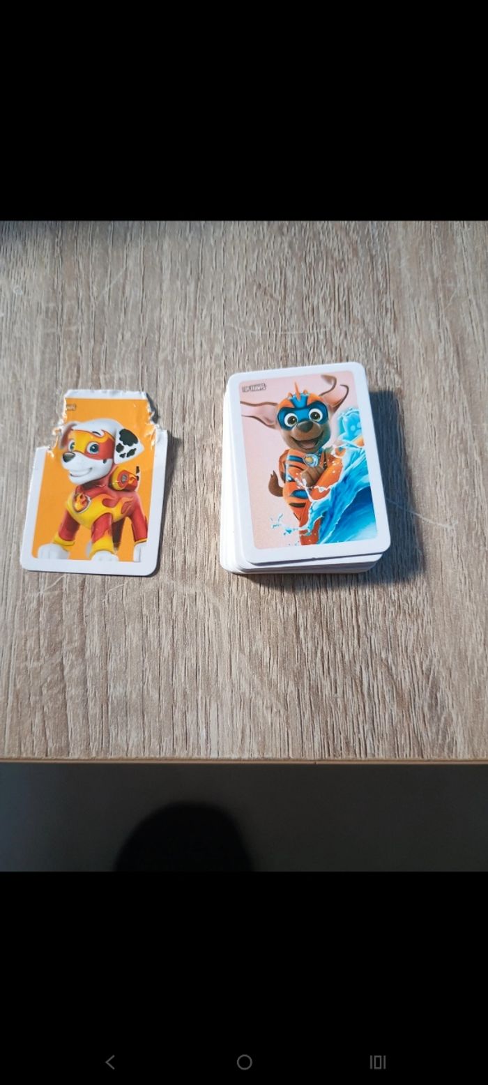 Jeux de match pat patrouille - photo numéro 5